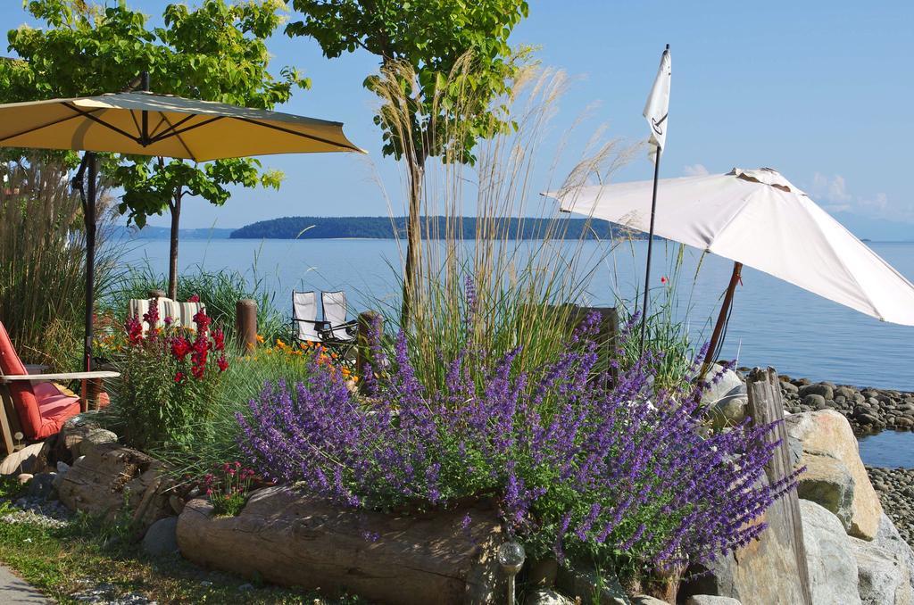 Blitz Beach House Oceanside Suite Powell River Esterno foto
