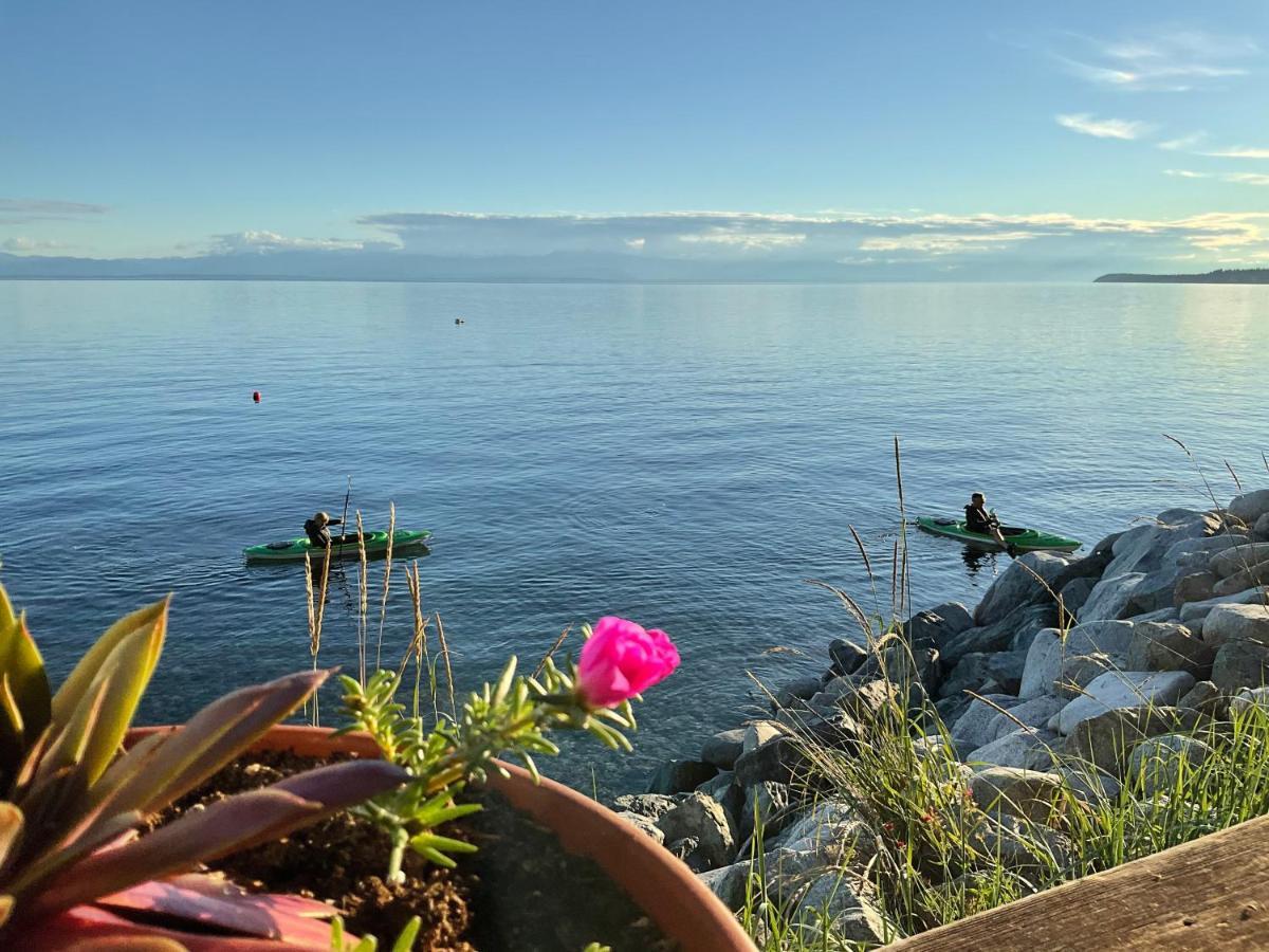 Blitz Beach House Oceanside Suite Powell River Esterno foto
